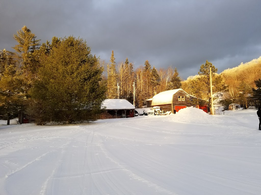 Prospect Mountain Ski Area | 204 Prospect Access Rd, Woodford, VT 05201, USA | Phone: (802) 442-2575