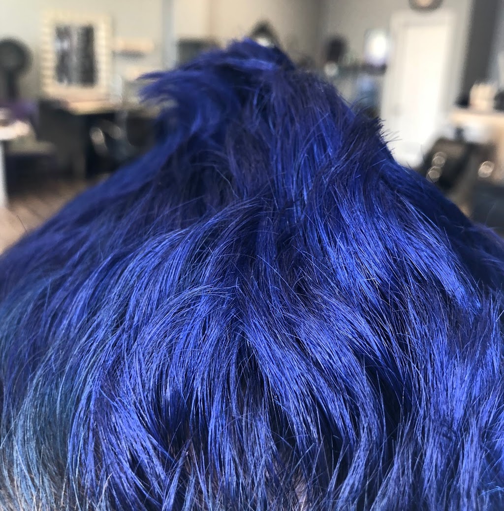 Salon Cattitude | 38119 Ann Arbor Rd, Livonia, MI 48150, USA | Phone: (734) 469-4154