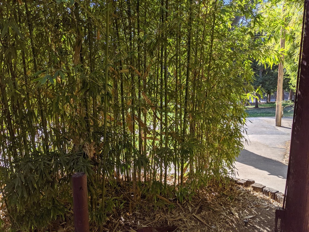 Prospect Park | 1352 Prospect Dr, Redlands, CA 92373, USA | Phone: (909) 798-7655