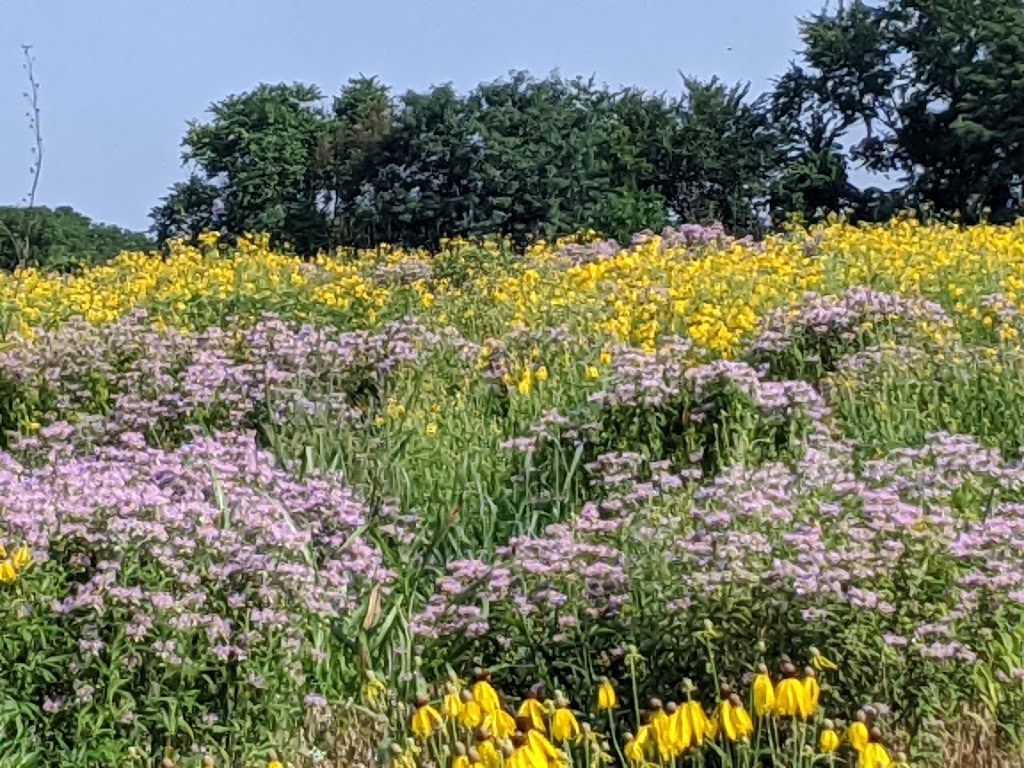 Shawnee Mission Park Campsite & Youth Camp 1 | Barkley Dr, Shawnee, KS 66218, USA | Phone: (913) 438-7275