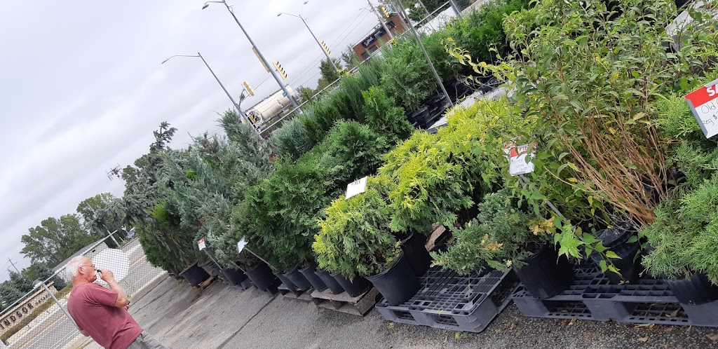 Provincial Nursery & Garden Centre | 2191 Provincial Rd, Windsor, ON N8W 5V7, Canada | Phone: (519) 969-4871