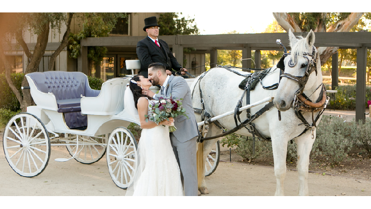 Temecula Carriage Company | 40001 Berenda Rd, Temecula, CA 92591, USA | Phone: (844) 369-1852