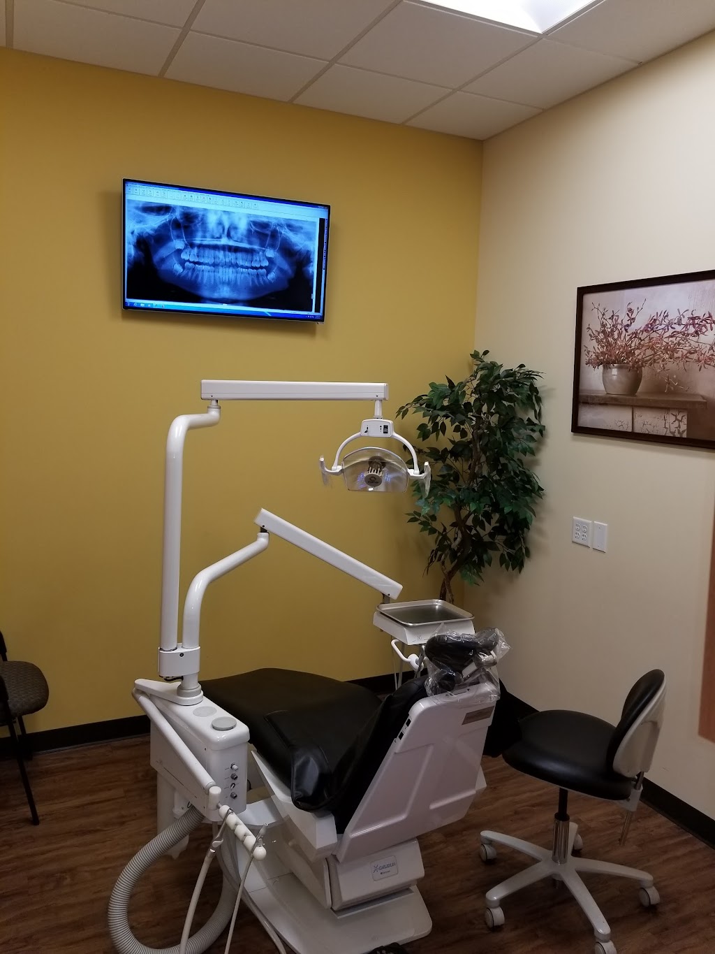 Ace Dental Care, Inc Damadzadeh, Ramin DDS | 4338 W Thomas Rd e6, Phoenix, AZ 85031 | Phone: (602) 233-2212