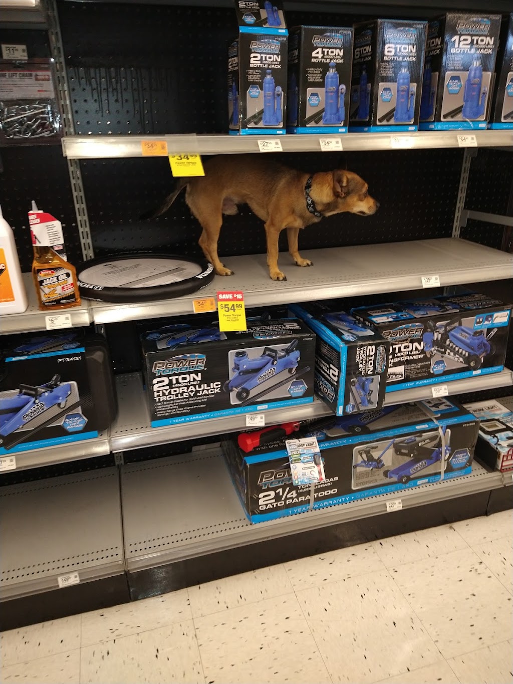 OReilly Auto Parts | 13710 W Waddell Rd, Surprise, AZ 85379, USA | Phone: (623) 544-9560