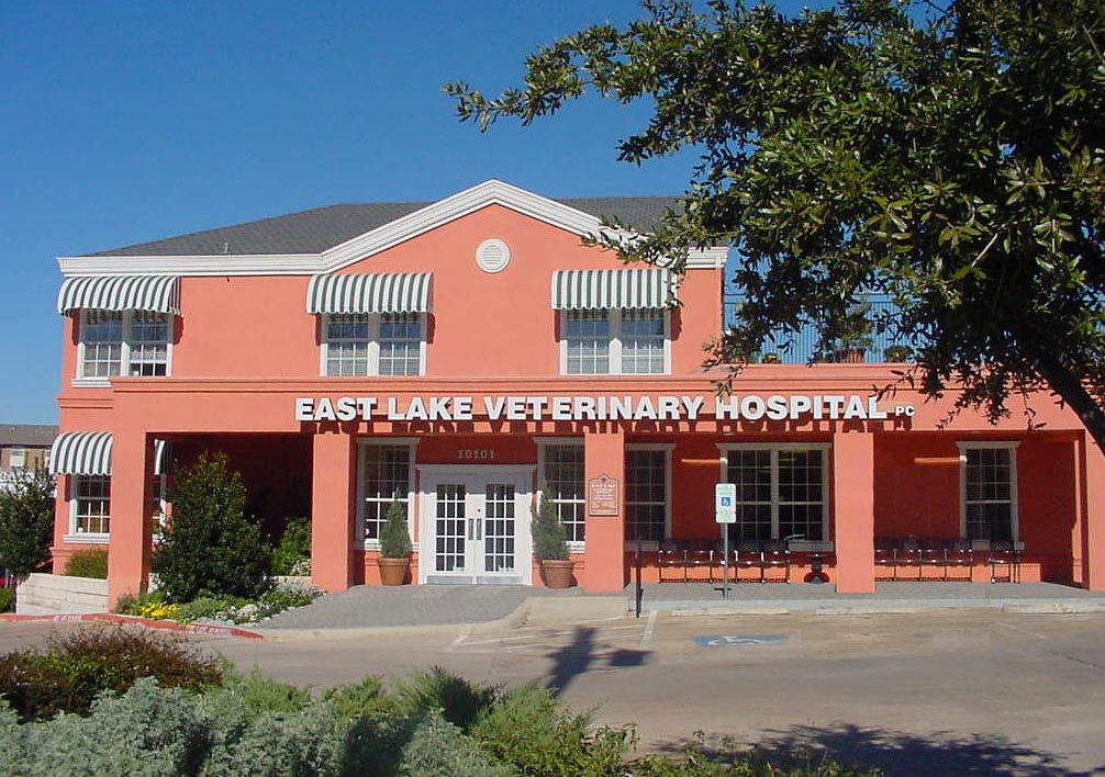 East Lake Veterinary Hospital | 10101 Northwest Hwy, Dallas, TX 75238, USA | Phone: (214) 342-3100