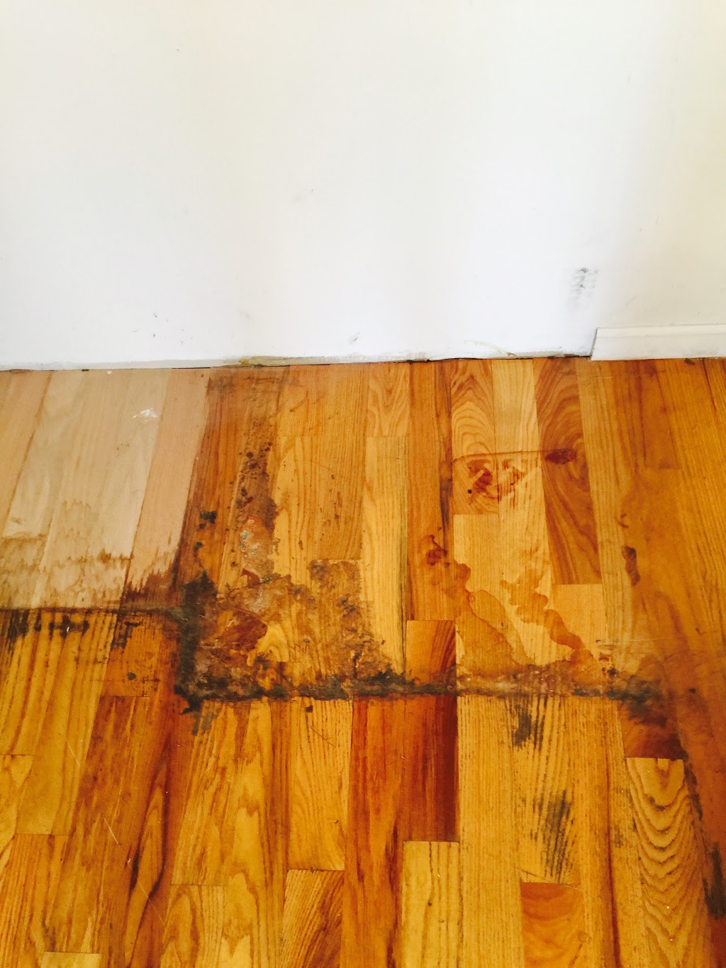 Best Value Wood Floors | 951 E 223rd St, Bronx, NY 10466, USA | Phone: (718) 764-3946