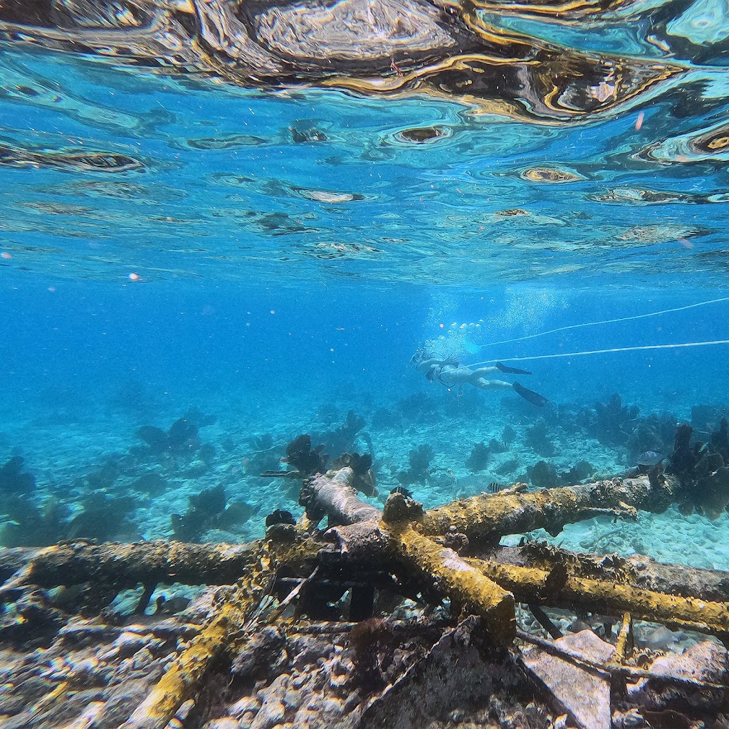 FL Keys Unique Diving | 106 Arctic Ave, Tavernier, FL 33070, USA | Phone: (305) 942-4643