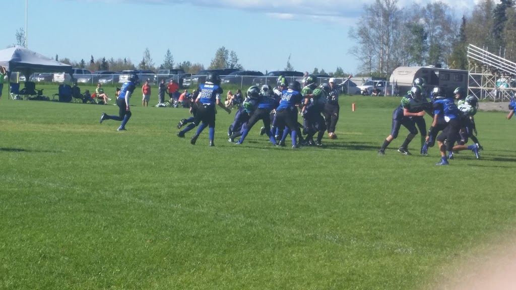 Eagle River Alaska Lions Club | Eagle River Rd & E Eagle River Loop Rp, Eagle River, AK 99577, USA | Phone: (907) 694-9123