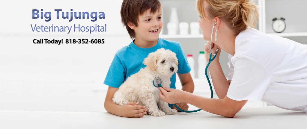 Big Tujunga Vet Hospital | 6934 Foothill Blvd, Tujunga, CA 91042, USA | Phone: (818) 352-6085