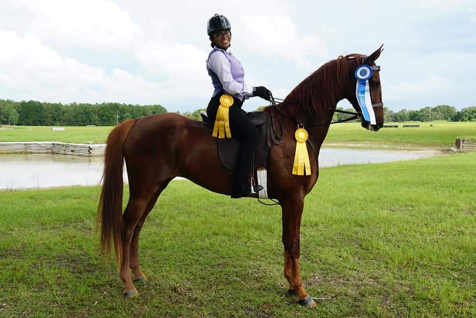 Suncoast Stables & Riding Academy | 1108 Altamont Ln, Odessa, FL 33556, USA | Phone: (813) 368-0666