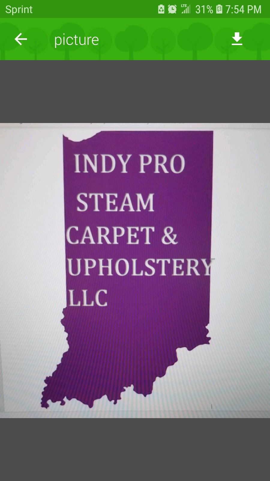 Indy Pro Steam Carpet & Upholstery LLC | 13760 N Dover Hill Dr, Camby, IN 46113, USA | Phone: (317) 438-4641