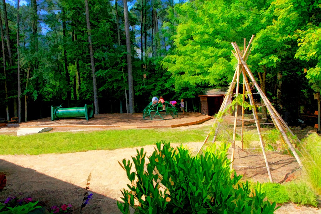 Montessori Community School | 4512 Pope Rd, Durham, NC 27707, USA | Phone: (919) 493-8541