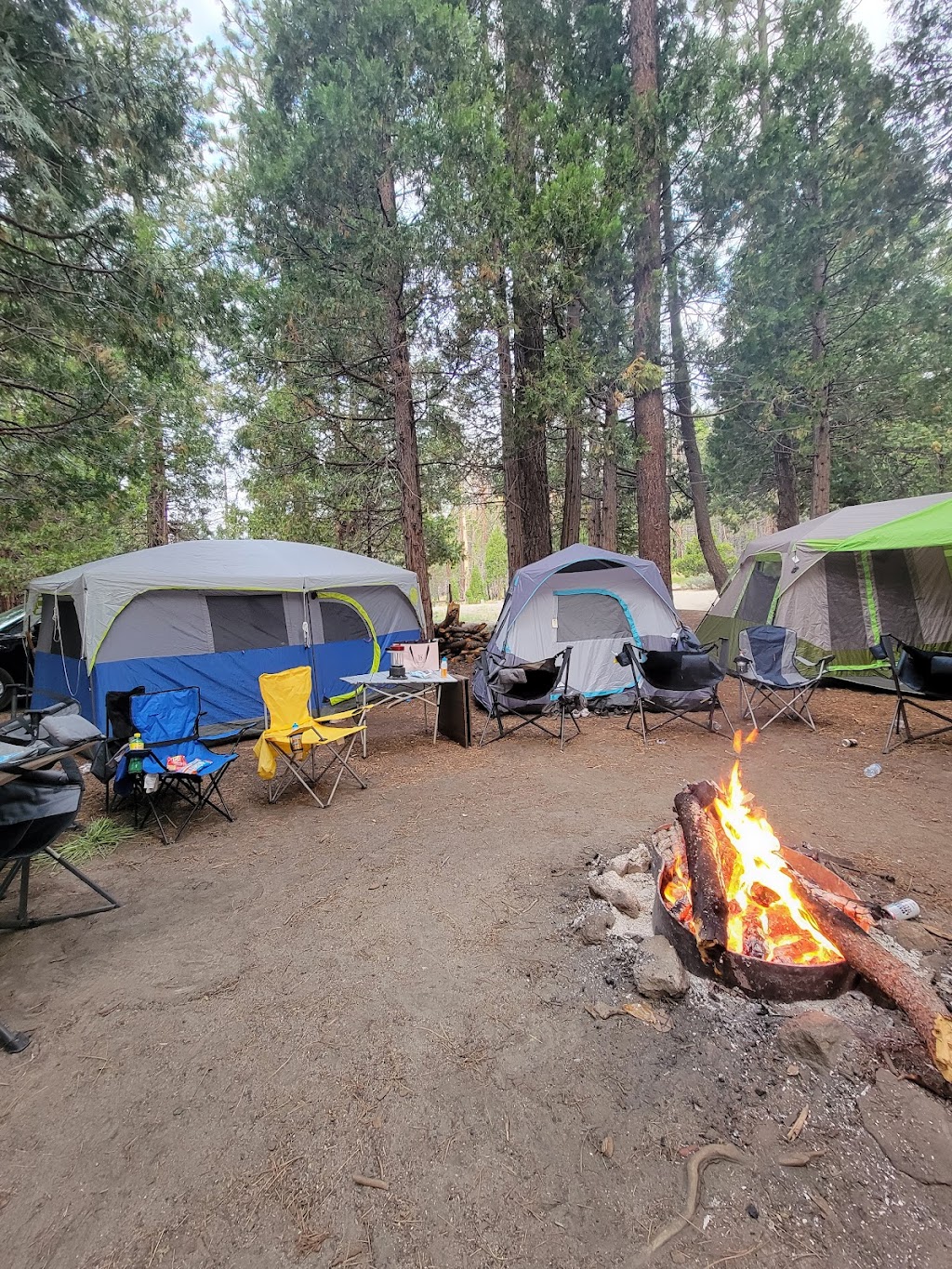 Long Meadow Group Campground | Camp Nelson, CA 93208, USA | Phone: (559) 539-5230