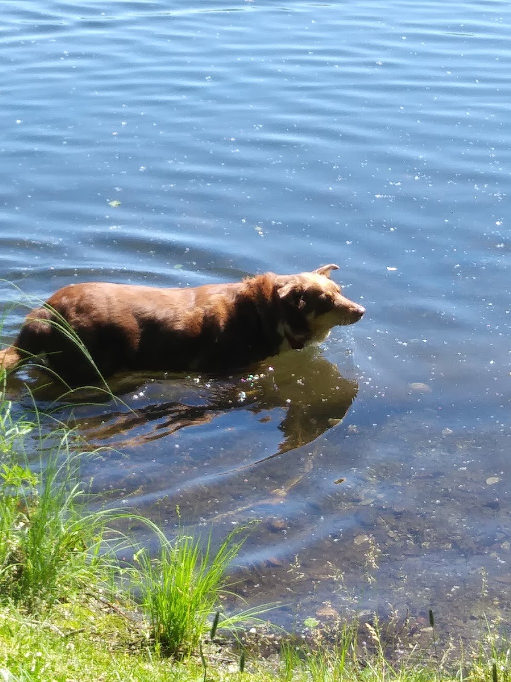 Meadow Lakes Christian Center | 1040 Pittman Rd, Wasilla, AK 99623, USA | Phone: (907) 357-8085