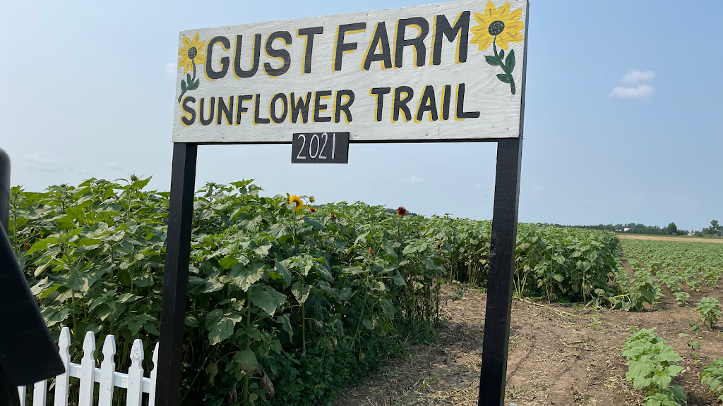 Gust Flower and Produce Farm | 11998 Rodesiler Hwy, Ottawa Lake, MI 49267, USA | Phone: (517) 605-2209