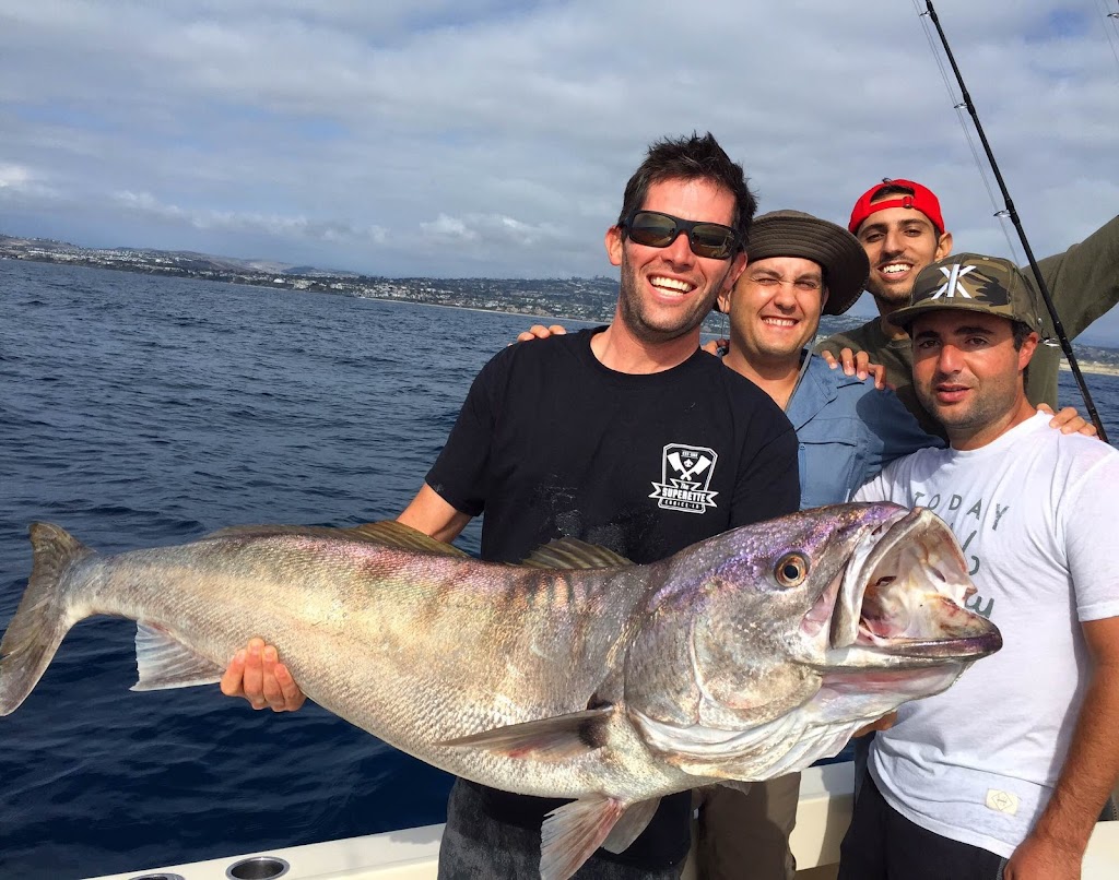 AllWater Fishing Charters, Catalina Island | 25051 Calle Playa c, Laguna Niguel, CA 90704 | Phone: (310) 955-4201