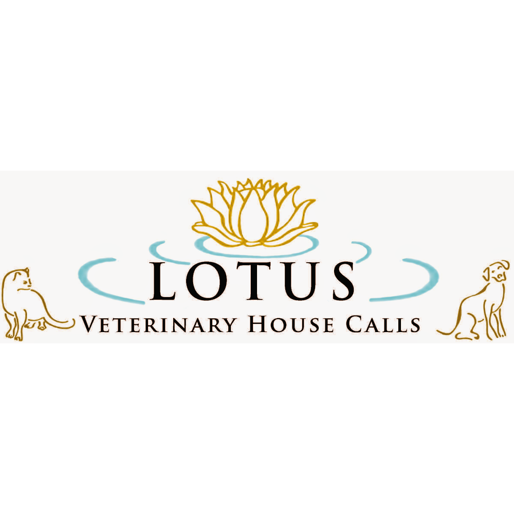 Lotus Veterinary House Calls | 825 Moultrie St, San Francisco, CA 94110, USA | Phone: (415) 484-5842