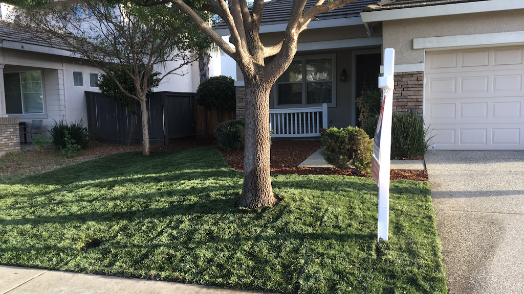 VB Garden | 7780 Southbreeze Dr, Sacramento, CA 95828, USA | Phone: (916) 730-3770