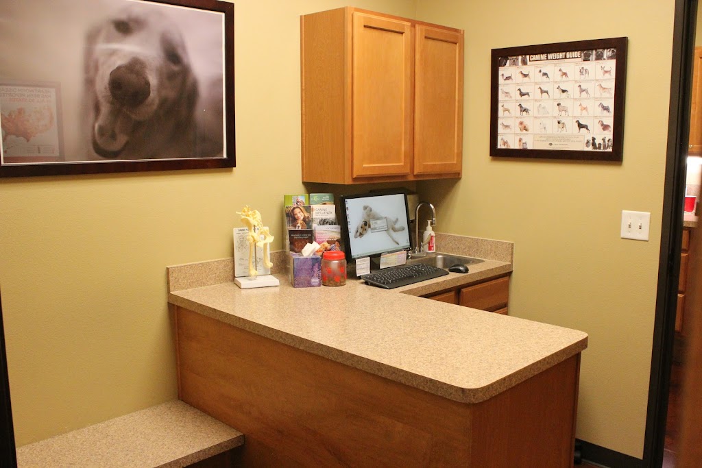 Stonebridge Veterinary Hospital | 711 W Rusk St, Rockwall, TX 75087 | Phone: (972) 722-2262