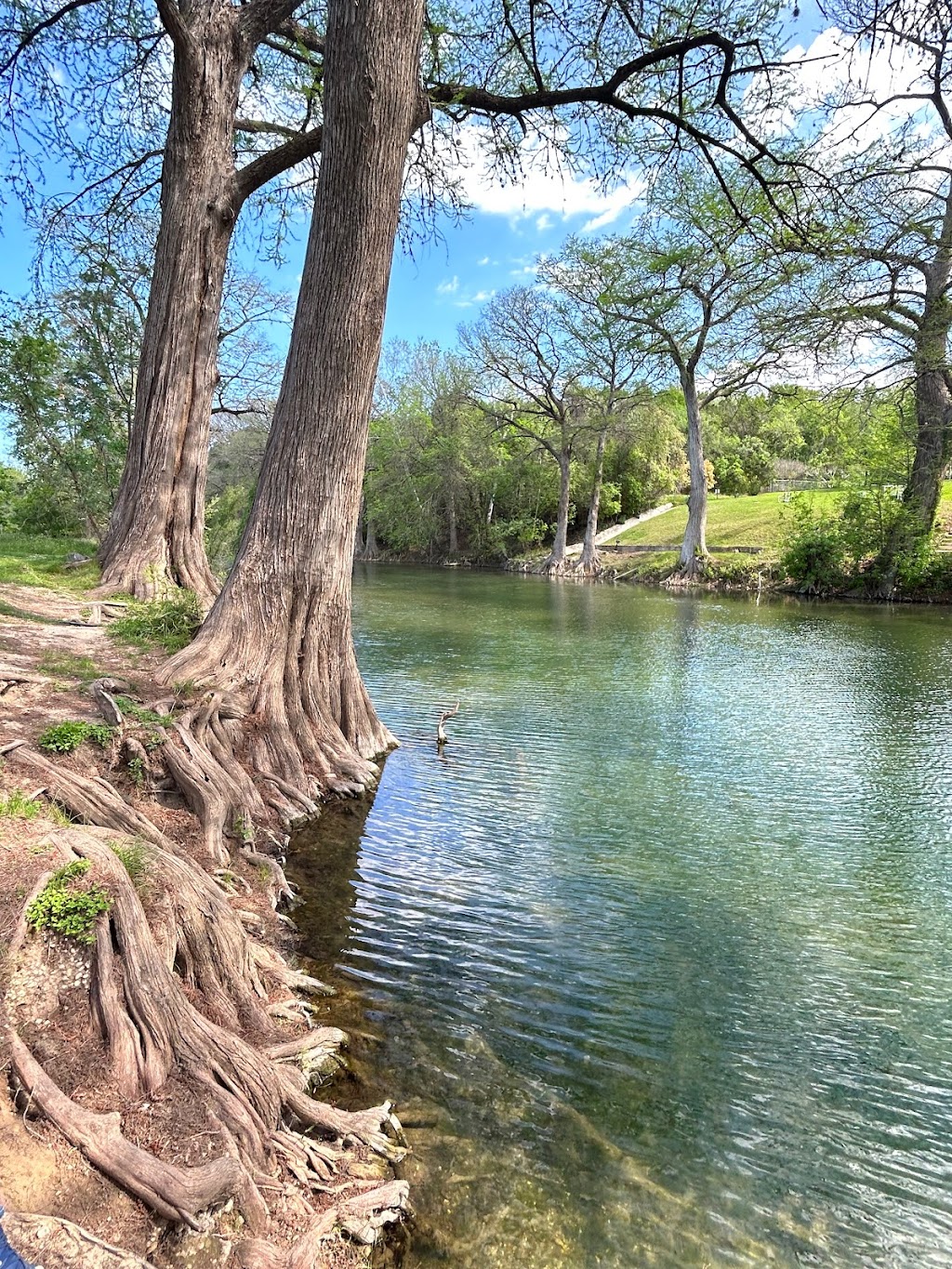 Cypress Bend Park | 503 Peace Ave, New Braunfels, TX 78130, USA | Phone: (830) 221-4350