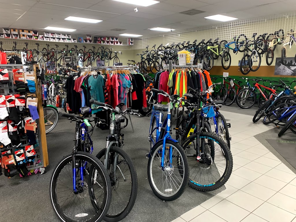 CARS Bike Shop | 2661 County Rd I, Mounds View, MN 55112 | Phone: (763) 784-6966