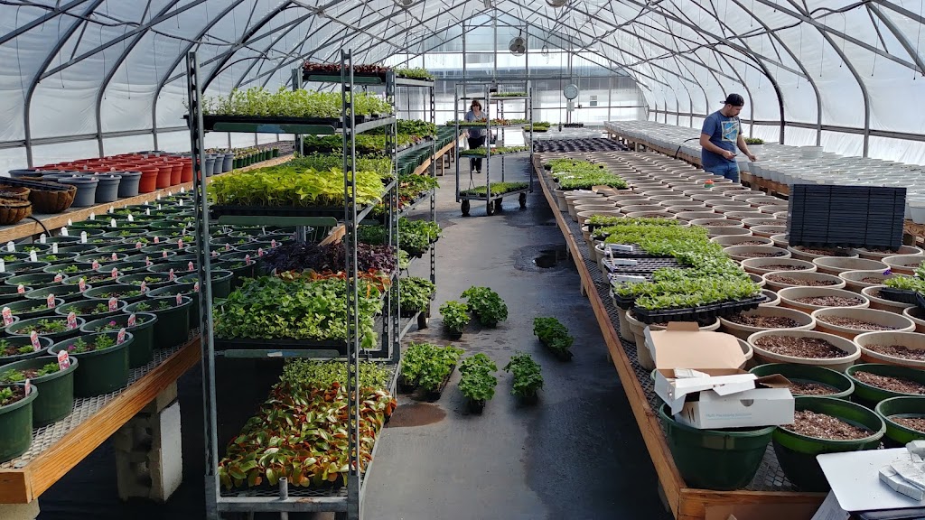 Yerico Farms LLC | 3186 E Main St, Dunkirk, NY 14048, USA | Phone: (716) 673-1271