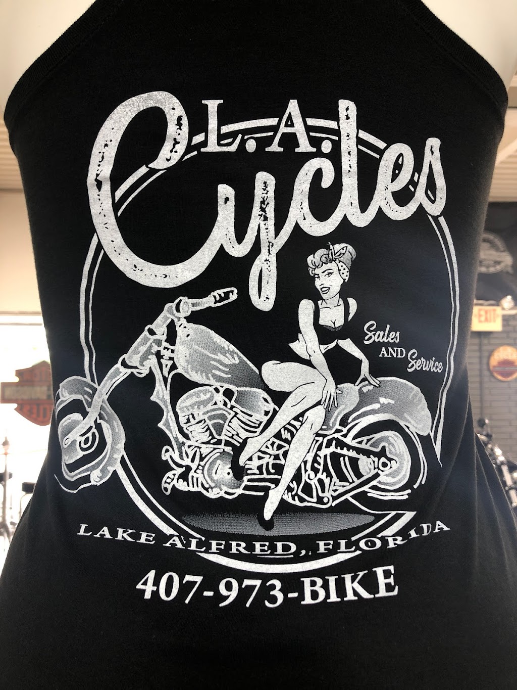 LA Cycles | 670 S Lake Shore Way, Lake Alfred, FL 33850, USA | Phone: (407) 973-2453