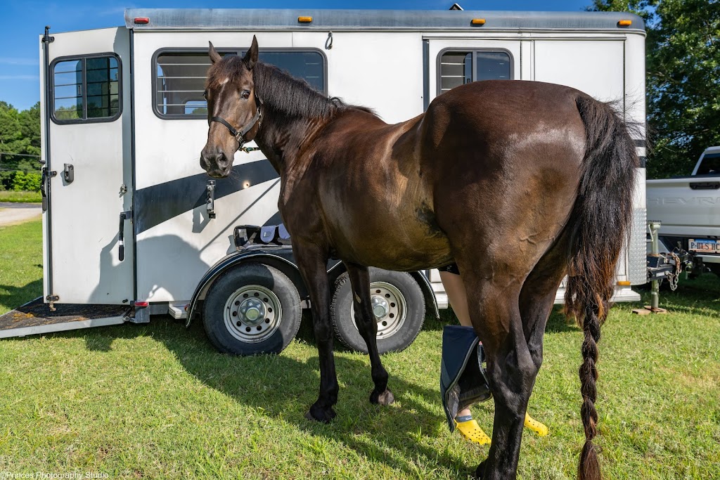 Topline Horse Center - Sunday
