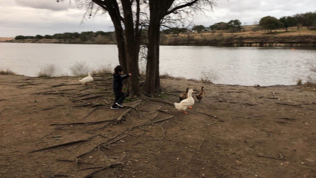 Cedar Pavilion | 3300 Brushy Creek Rd, Cedar Park, TX 78613, USA | Phone: (512) 401-5500