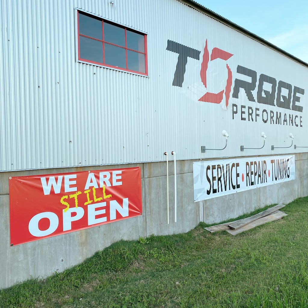 Torqqe Performance | 9300 US-290 W, Building D, Austin, TX 78736, USA | Phone: (512) 288-0791