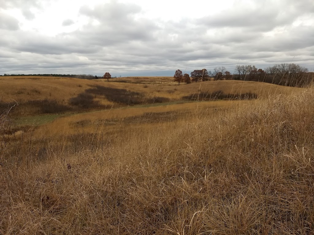 Lost Valley Prairie Scientific and Natural Area (SNA) | Nyberg Ave S, Hastings, MN 55033, USA | Phone: (651) 259-5800