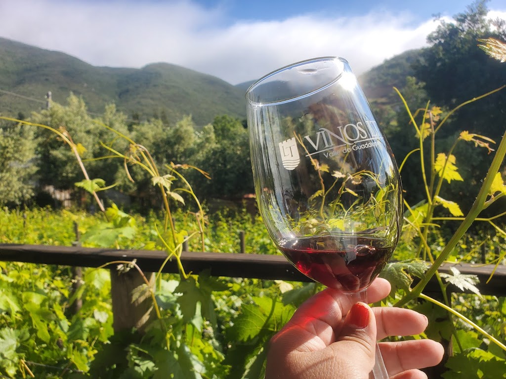 Vinos LT | Ignacio Comonfort Lt 4 Mz 18, San Antonio de las Minas, 22766 Villa de Juárez, B.C., Mexico | Phone: 661 616 0543