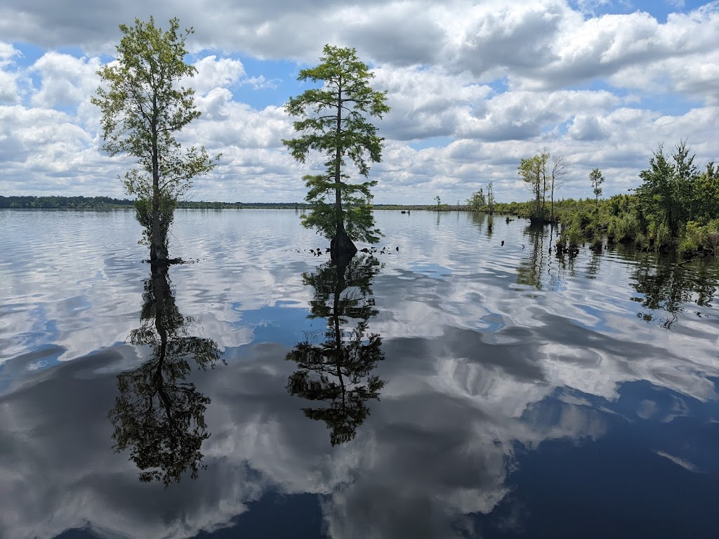 Great Dismal Swamp National Wildlife Refuge | 3100 Desert Rd, Suffolk, VA 23434, USA | Phone: (757) 986-3705