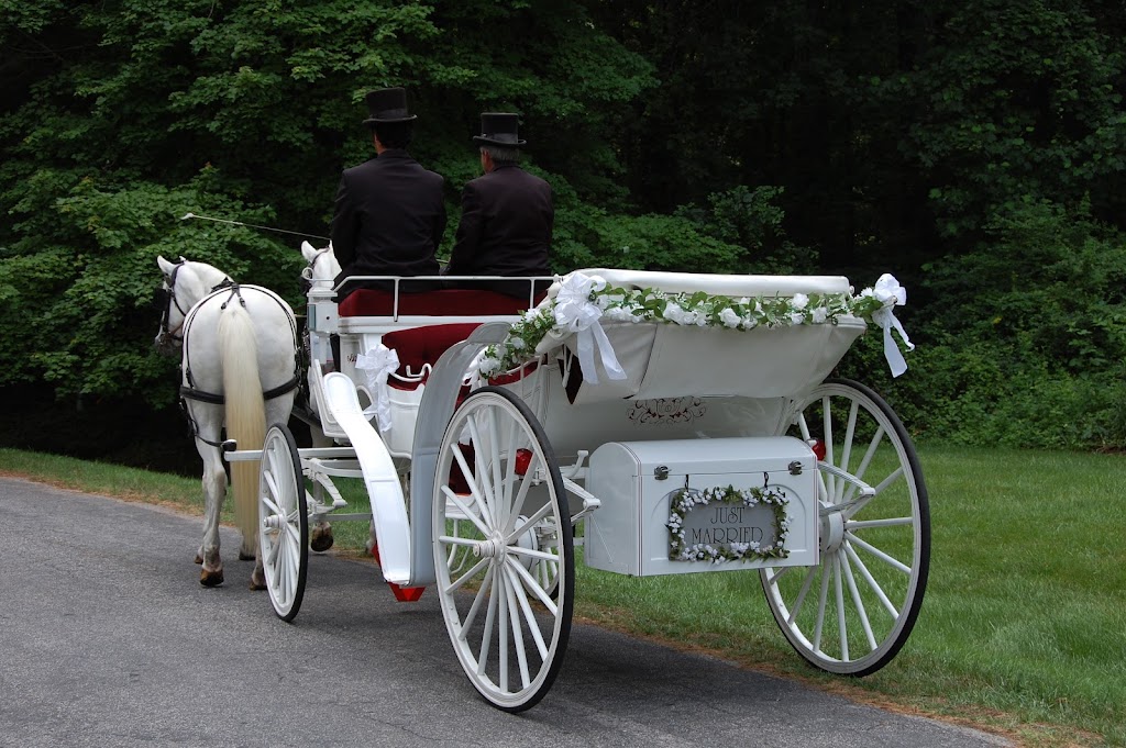 Hundley Carriages | 8300 Hopkins Rd, Richmond, VA 23237, USA | Phone: (804) 743-9233