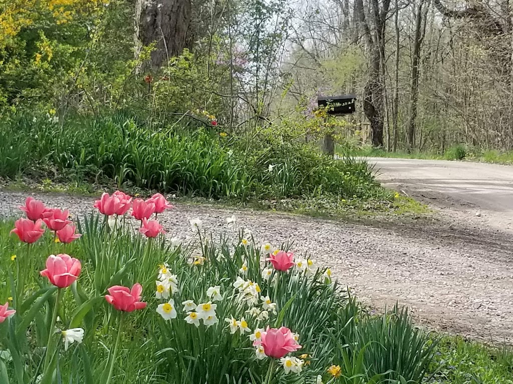 Bluebird Trails B & B | 8591 Blount Rd, Hillsdale, MI 49242, USA | Phone: (517) 254-4754