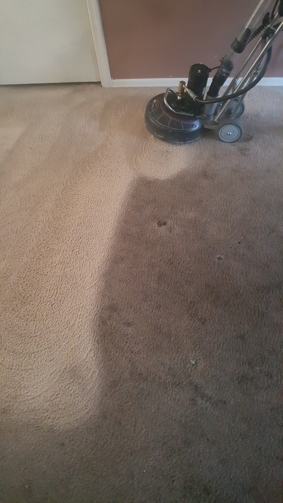 Power Carpet Cleaning | 1056 S Revere, Mesa, AZ 85210, USA | Phone: (480) 430-5269