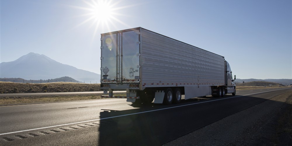 BOSS LOGISTICS INC | 22041 Valerio St, Canoga Park, CA 91303, USA | Phone: (818) 251-6497