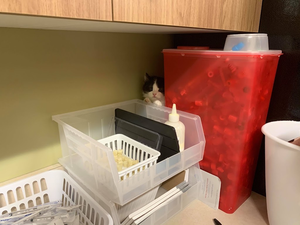 Harmony Hill Animal Hospital | 23520 Overland Dr Suite 110, Sterling, VA 20166, USA | Phone: (571) 200-8500