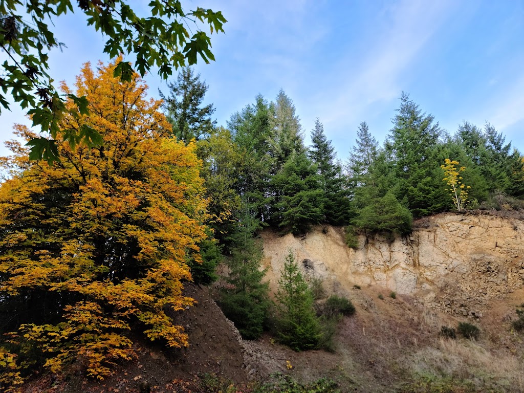 Chapman Landing Trailhead - CZ Trail | Unnamed Road, Scappoose, OR 97056, USA | Phone: (503) 543-7146