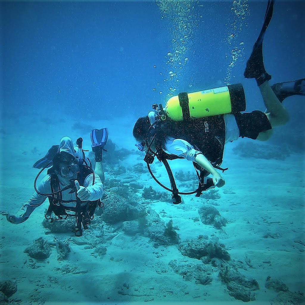 Lucky Fish Scuba | 21 Garden Cove Dr, Key Largo, FL 33037, USA | Phone: (305) 766-2166