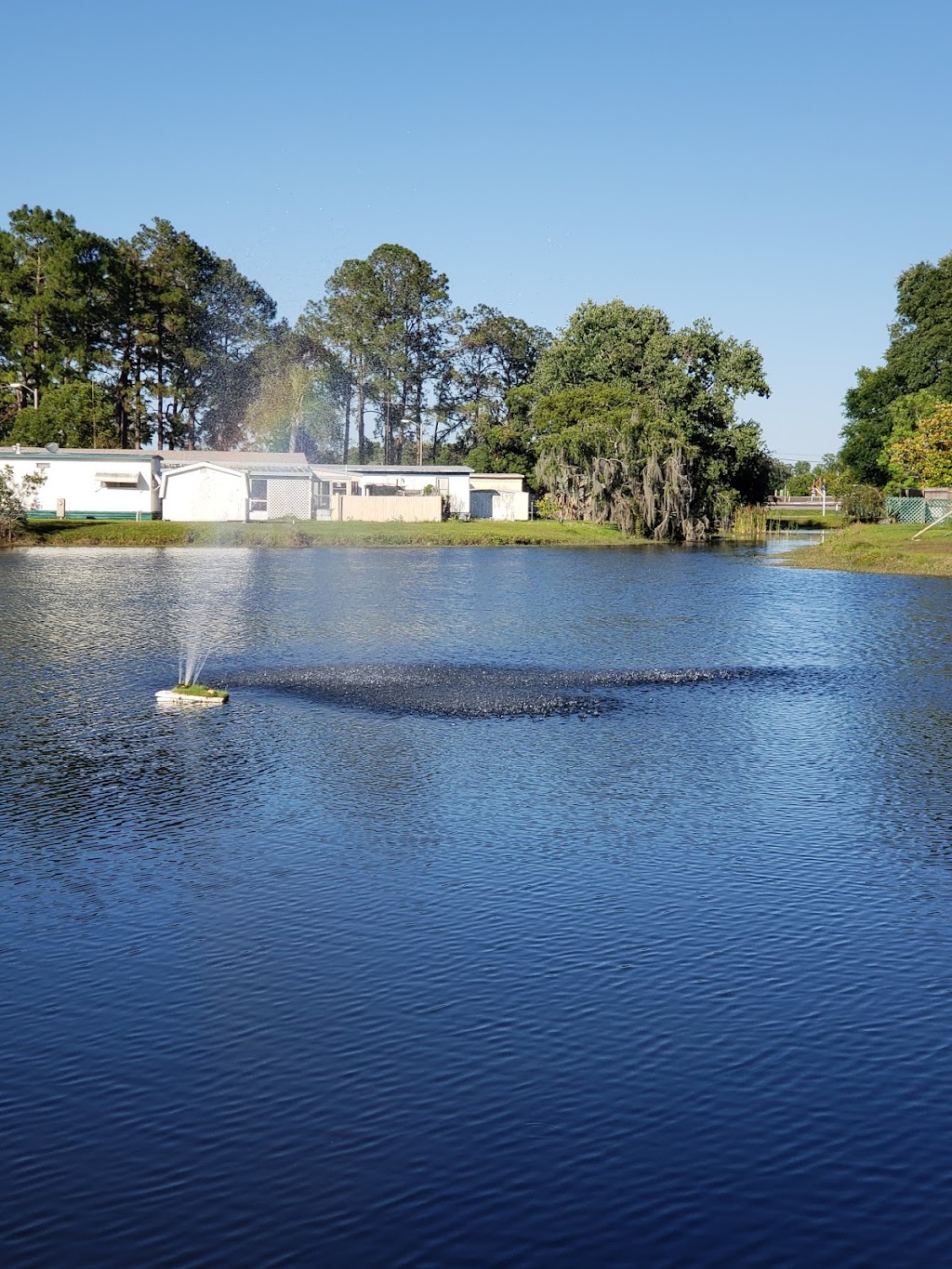 Lake Bambi Mobile Home & RV Park | 6105 Land O Lakes Blvd, Land O Lakes, FL 34638, USA | Phone: (813) 996-6468