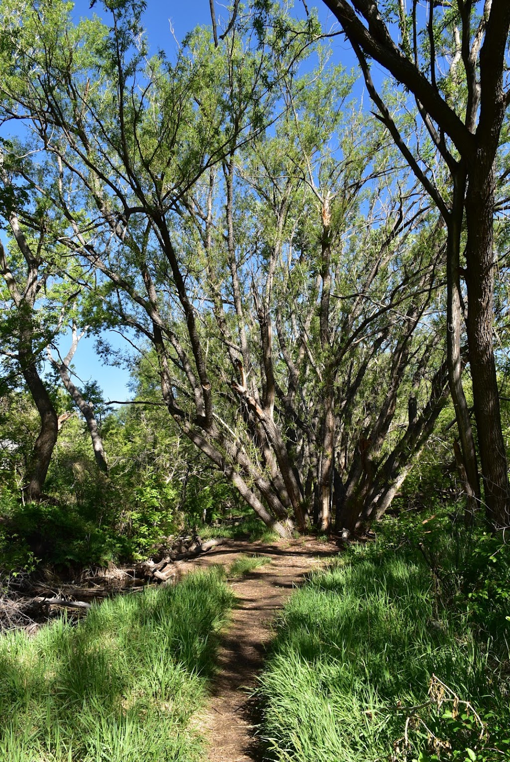 Matthews / Winters Park Trailhead | Unnamed Road, Golden, CO 80401, USA | Phone: (303) 271-5925