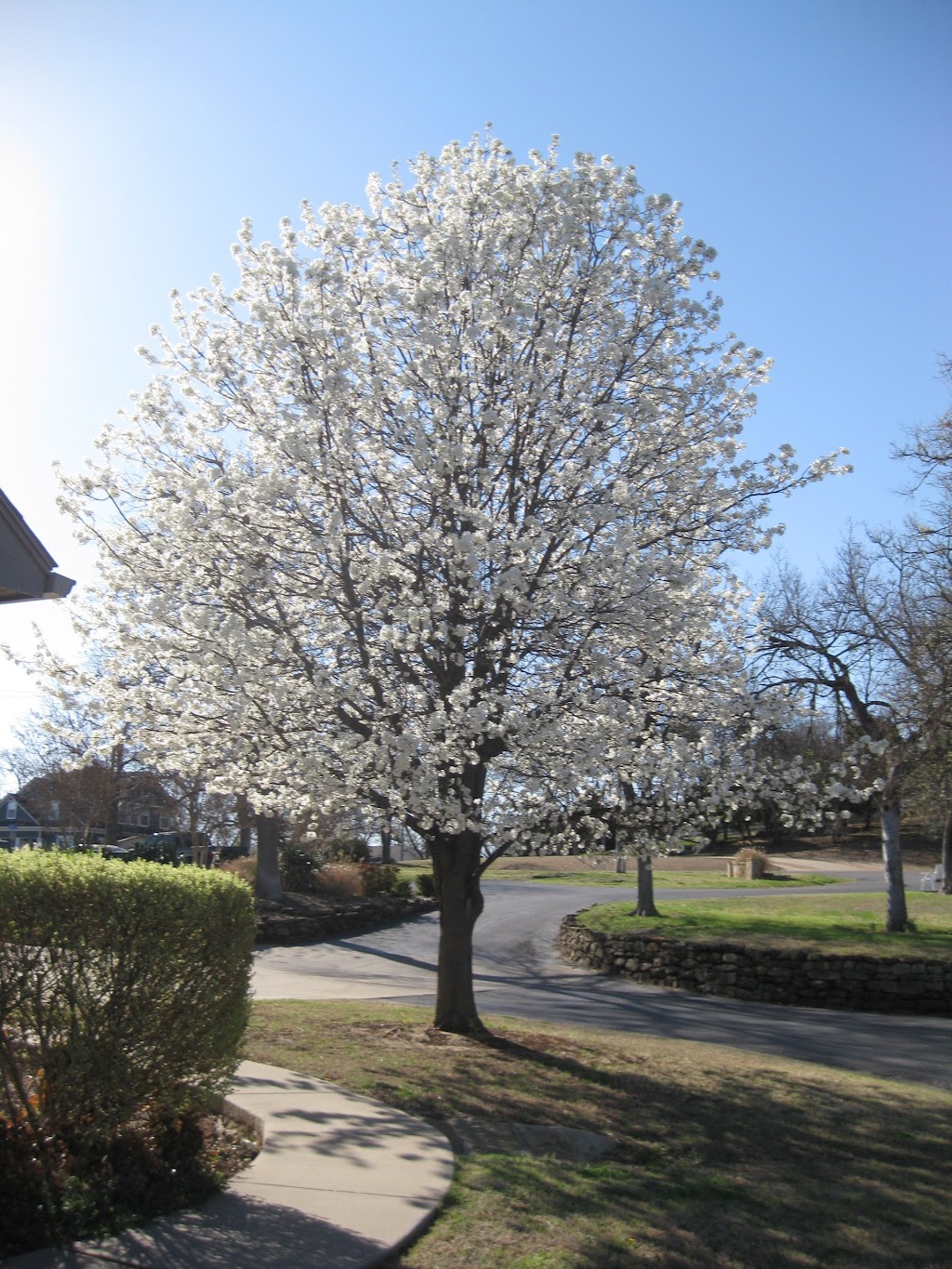 Autumn Hill Manor | 202 W Rentz St, Weatherford, TX 76086, USA | Phone: (817) 596-4159