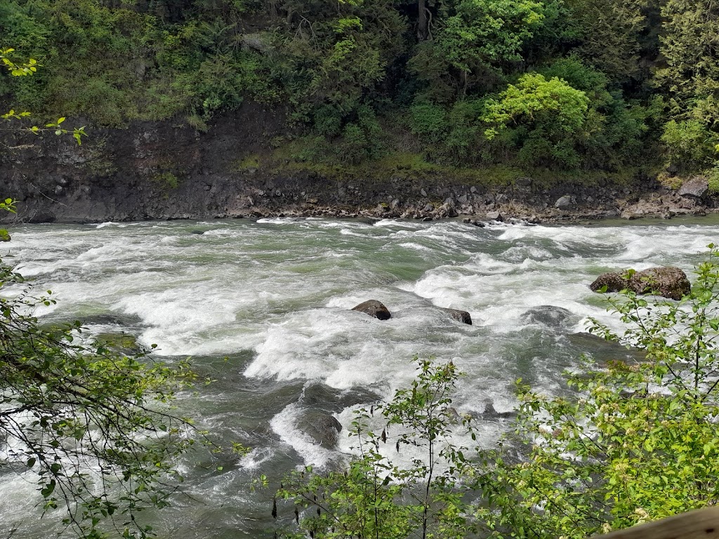 Snoqualmie Falls | 6501 Railroad Ave, Snoqualmie, WA 98065, USA | Phone: (360) 421-5849