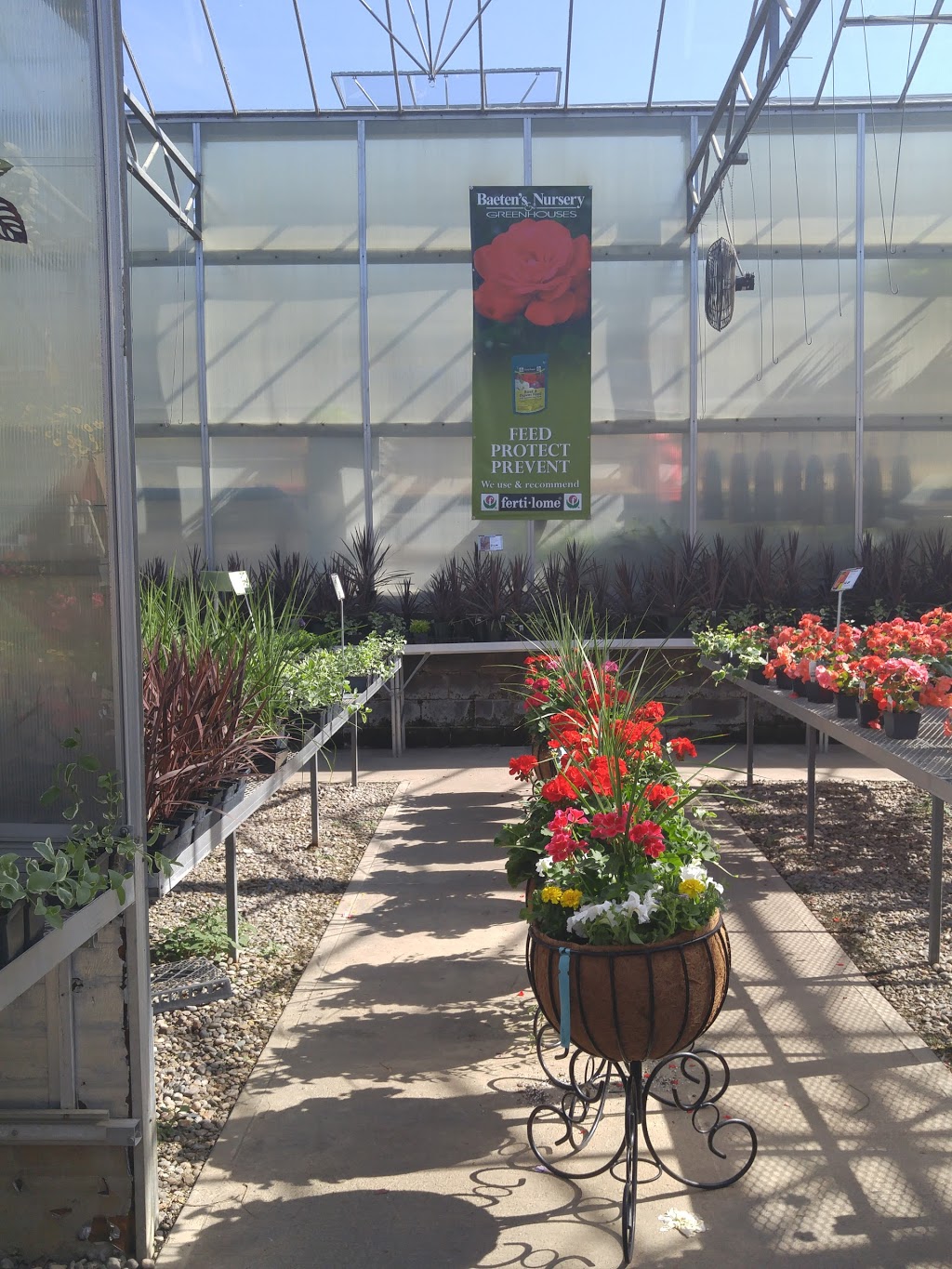 Baetens Nursery & Greenhouses | 364 Frogtown Rd, Union, KY 41091 | Phone: (859) 384-4769