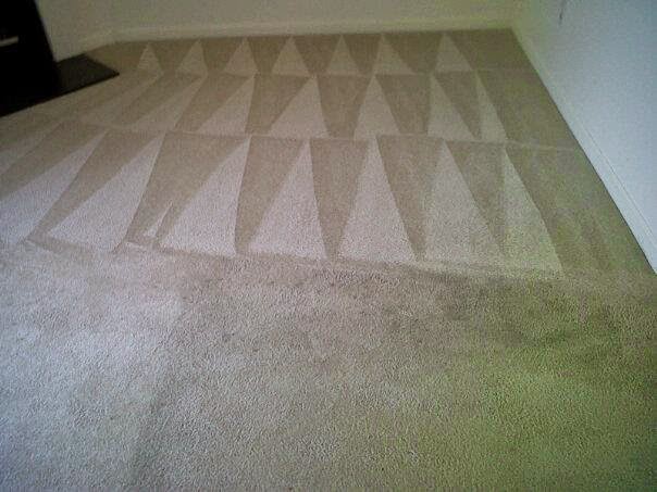 Stylish Carpet Cleaning | Flowery Branch, GA 30542, USA | Phone: (678) 725-1051