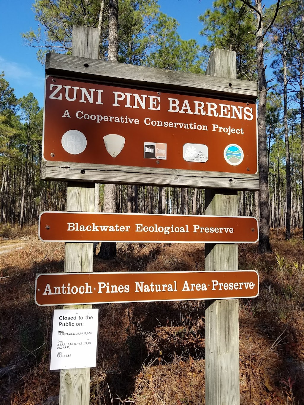 Antioch Pines Natural Area Preserve | Zuni, VA 23898, USA | Phone: (757) 925-2318