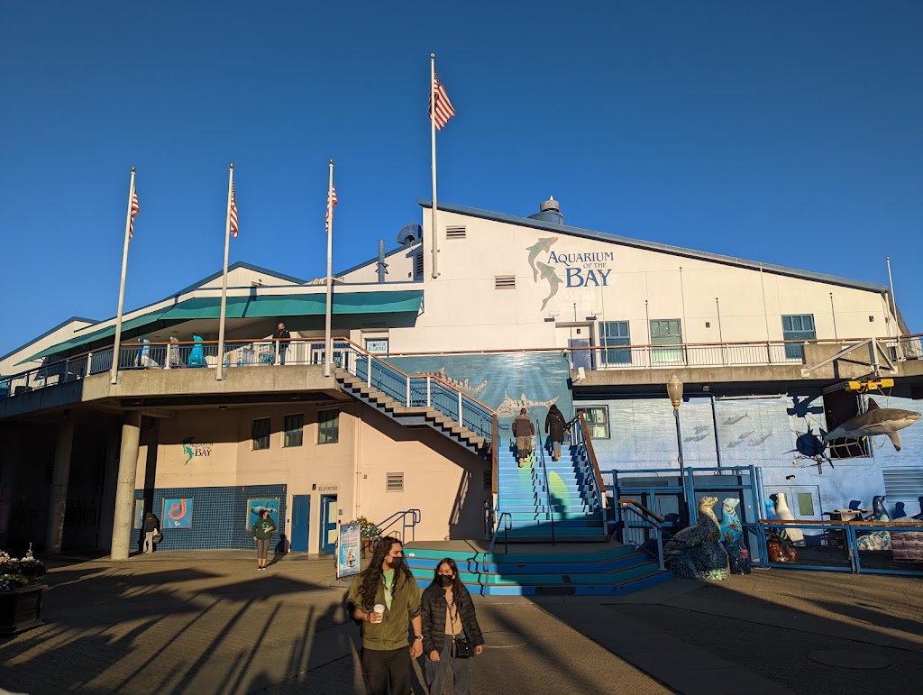 Aquarium of the Bay | PIER 39 The Embarcadero &, Beach St, San Francisco, CA 94133, USA | Phone: (415) 623-5300