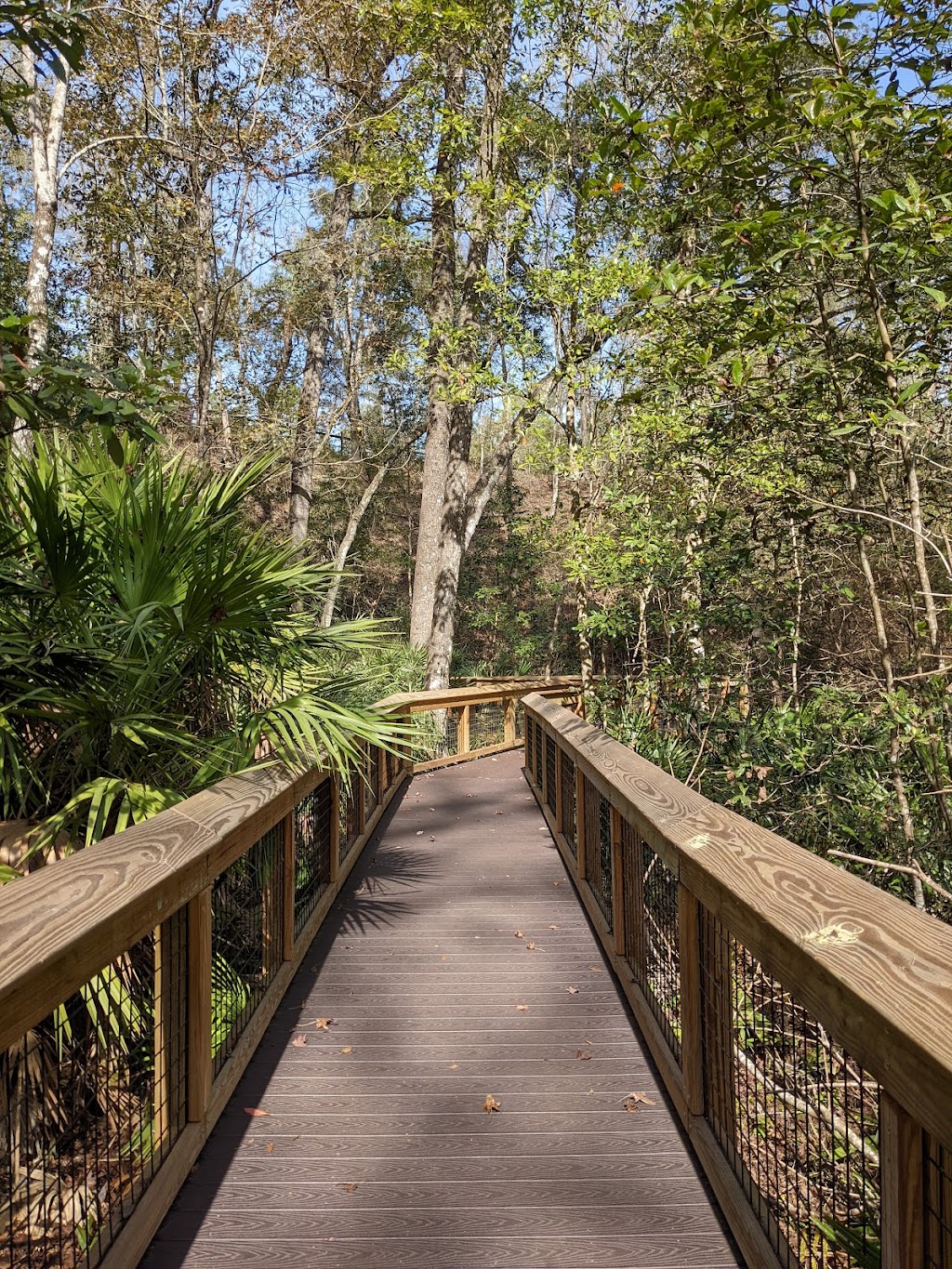 Mike Roess Gold Head Branch State Park | 6239 State Rd 21, Keystone Heights, FL 32656, USA | Phone: (352) 473-4701
