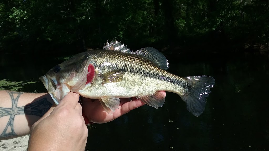 Black Lake Club Bait & Tackle | 25855 Black Lake Club Rd, Maurepas, LA 70449, USA | Phone: (225) 695-6447